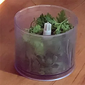 Receita de Alichella tradicional