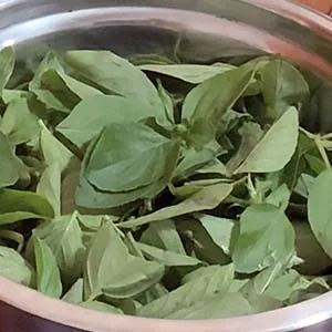 Pesto Genovese