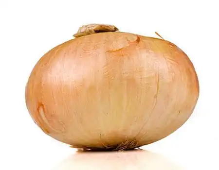 Tipos de cebola - cebola doce