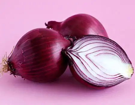 Tipos de cebola - cebola roxa