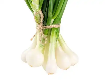 Tipos de cebola - cebola verde