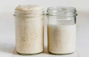 Fermentação natural - Fermento natural borbulhante em pote de vidro sobre bancada de cozinha.