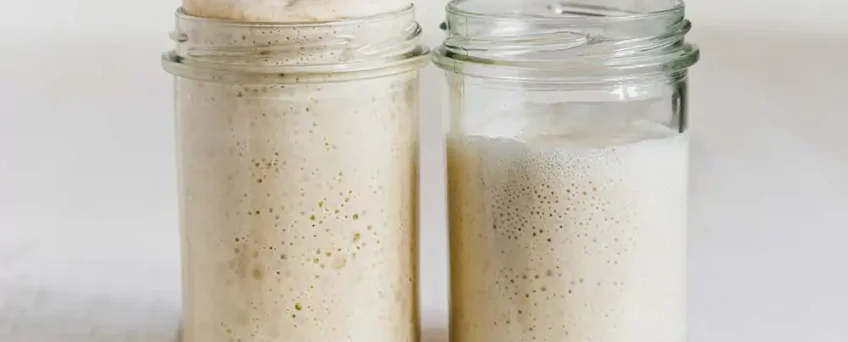 Fermentação natural - Fermento natural borbulhante em pote de vidro sobre bancada de cozinha.